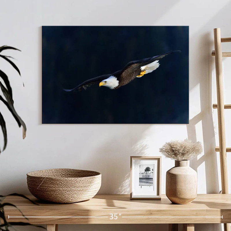 Brampt Aerodynamic Eagle