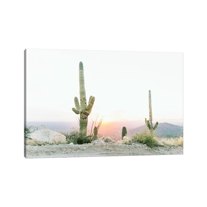 Saguros In The Sun, Tuscon, Arizona 1 Piece Wrapped Canvas Wall Art, 101.6 cm H x 66.04 cm W x 1.91 cm D