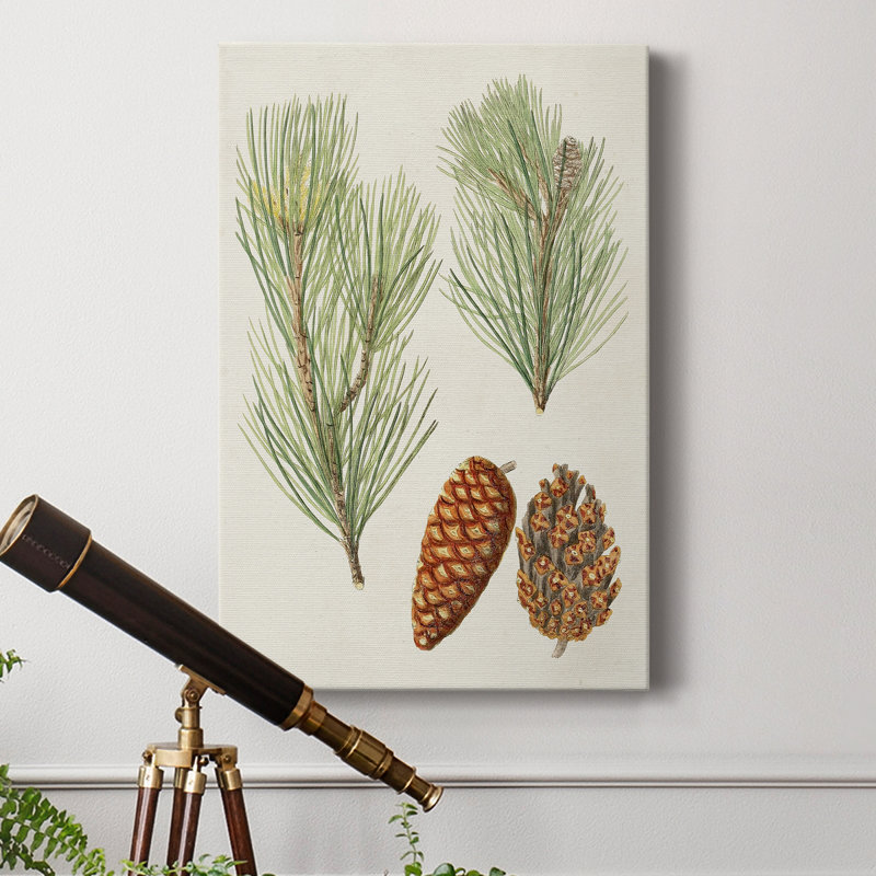 Cônes de pin antique I - impression sur toile tendue, H 60 po x l 40 po x P 1 po