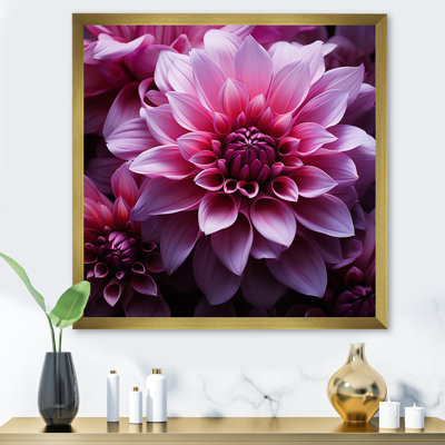 " Magenta Melody I "