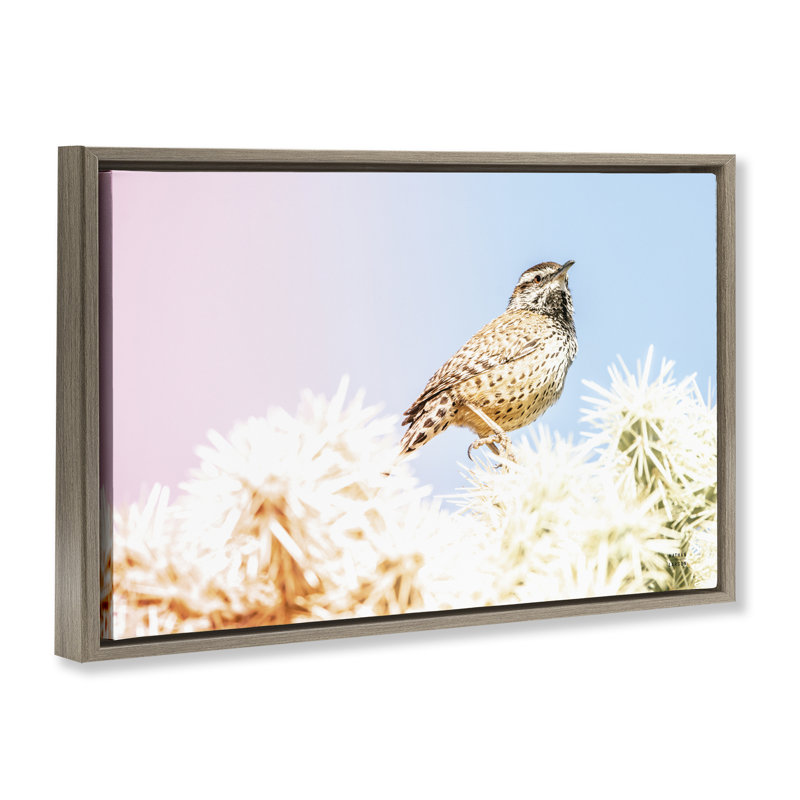Cadre flottant Desert Song Bird, design par Nathan Larson, H 21 po x l 31 po, Cadre flottant orme Montalcino