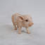Statue porc pour bébé debout-16443393