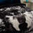 Liriano Plain Weave / Muslin Blanket