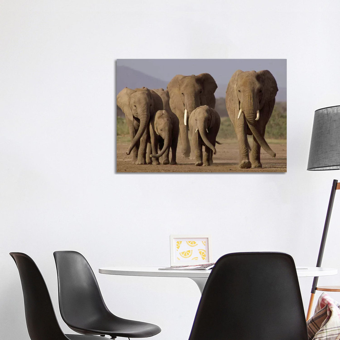 African Elephant Herd With Calves, Amboseli National Park, Kenya by Gerry Ellis - Wrapped Canvas Print