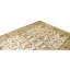 Hand Knotted Wool Area Rug in Gold