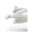 Wedding in the Air Couple Figurine