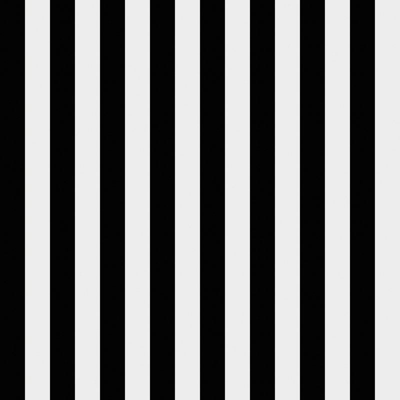 Diggs 10m x 52.8cm Matte Wallpaper Roll, Black/White