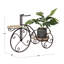 Brodbeck Multi-Tiered Plant Stand