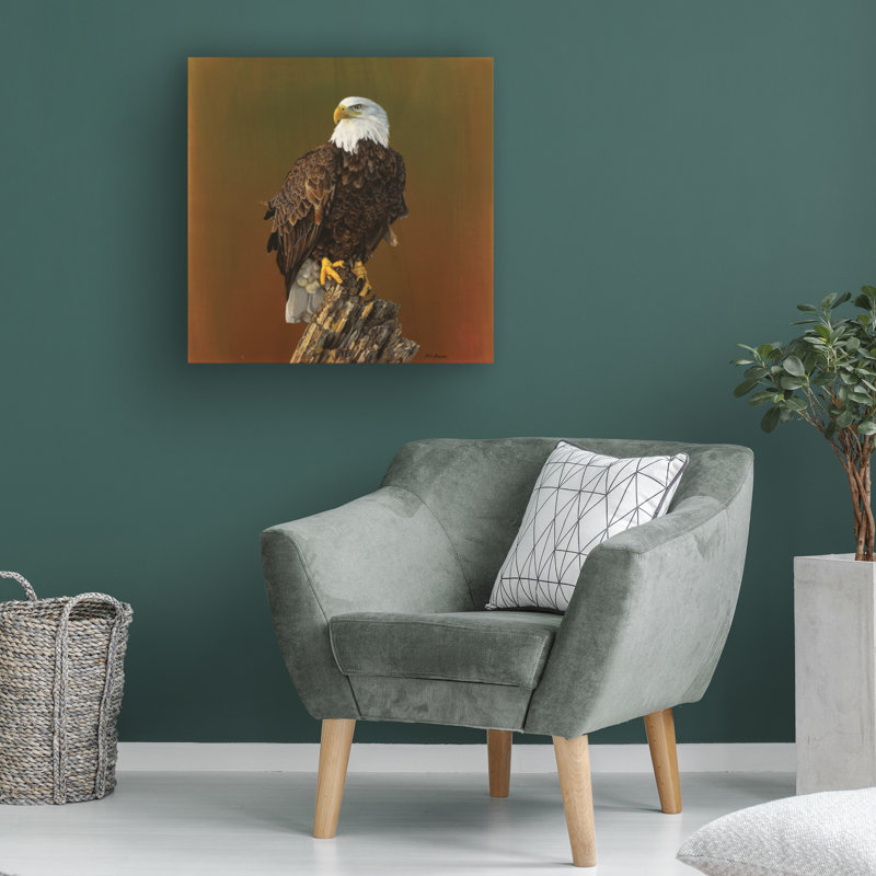 Jim Brune Proud Bald Eagle Canvas Art, H 14 po x l 14 po x P 2 po