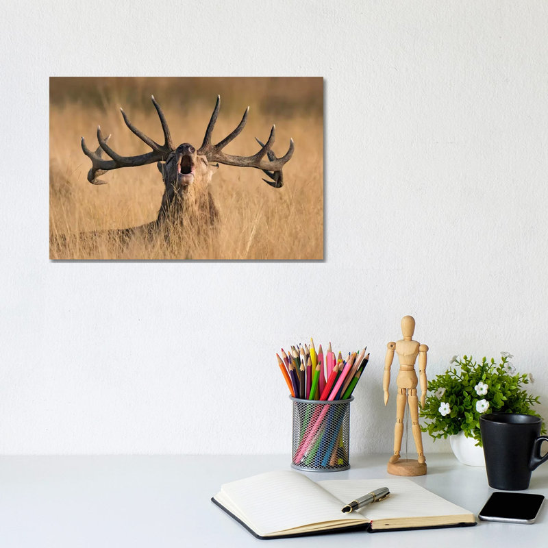 Ready To Rut by Kutub Uddin - Wrapped Canvas Gallery-Wrapped Canvas Giclée, 20.32 cm H x 30.48 cm W