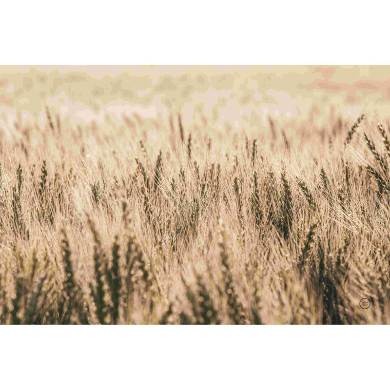 «Dakota Wheat Fields» par Nathan Larson - peinture sur toile tendue, Wrapped Canvas, Non, H 32 po x l 48 po