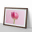 Perfectly Pink Tulip Flower in Abstract - Picture Frame Graphic Art Print-55739182-55739183
