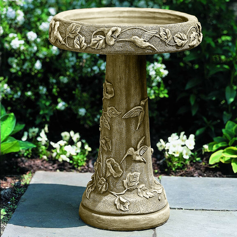 Bain d'oiseaux colibri, Mousse anglaise