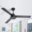 Forgan 52'' Ceiling Fan-2072586051
