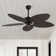 Crellin 52'' Ceiling Fan
