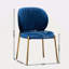 Chaise de salle à manger en velours-118100633
