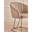 Velvet Upholstered Side Chair-1464873494