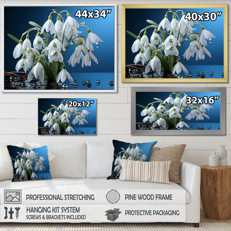 «Winter Snowdrop Flower», photographie sur toile, Cadre flottant noir, H 16 po x l 32 po x P 1 po