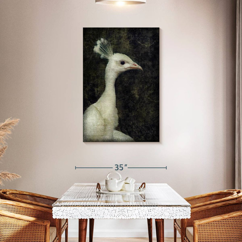 Paon blanc Brampt, H 45 po x l 30 po