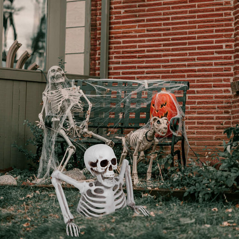 Halloween Decoration