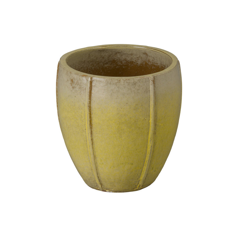CREST PLANT, NEIGE, Jaune, H 13 po x l 12,5 po x P 12,5 po