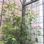 86.66 Ft. H x 79.97 Ft. W Galvanized Steel Gate with