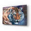 «Tiger Tales» par Robert Campbell-92546445