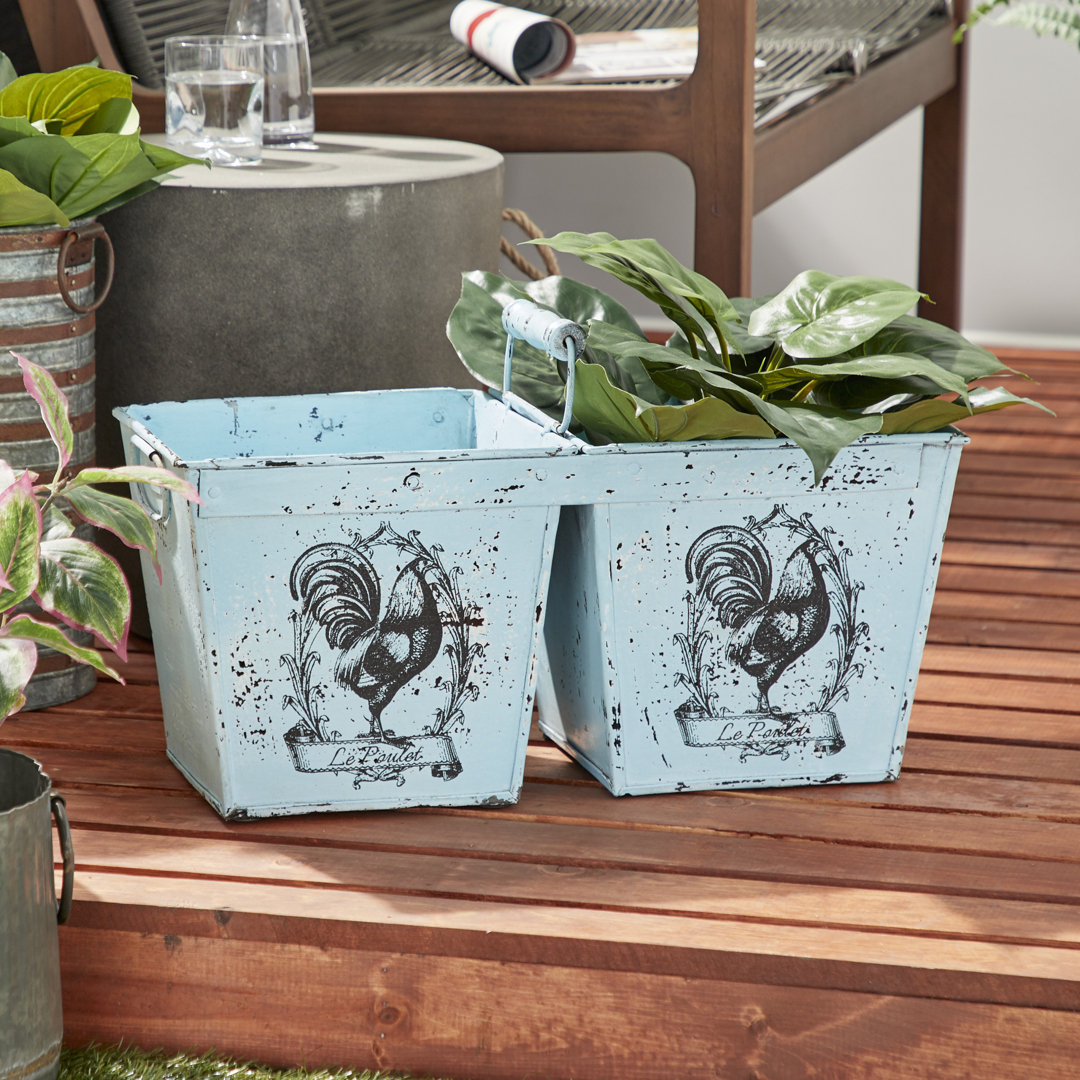 Alcona Pot Planter Gracie Oaks