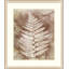 Routt Ferns 2 Painting