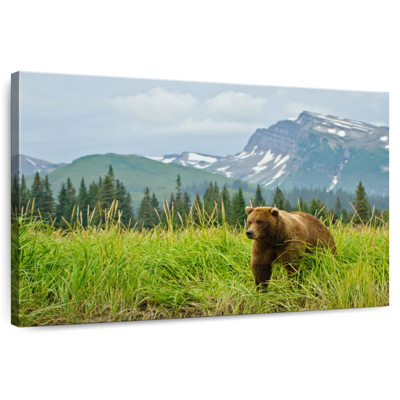Alvord Bear Mountain Scene, 34" H x 51" W