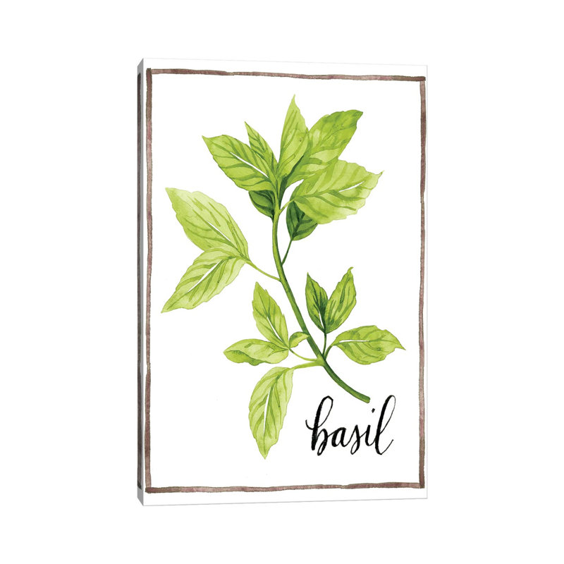 Watercolour Herbs I - Wrapped Canvas Print, 30.48cm H x 20.32cm W x 1.91cm D