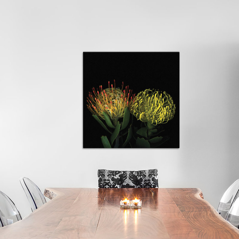 Double Fun, Flower Fireworks, reproduction de photo sur toile tendue, H 18 po x l 18 po x P 1,5 po, Toile avec cadre noir