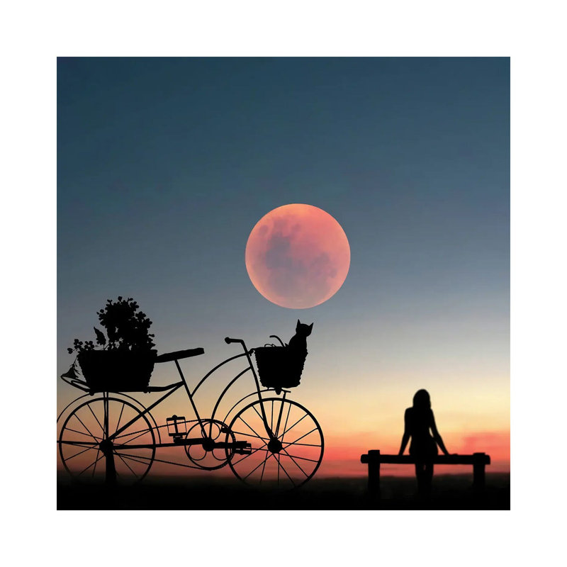 Girl On A Bicycle by Abdullah Evindar - Wrapped Canvas Print, 93.98 cm H x 93.98 cm W x 1.91 cm D