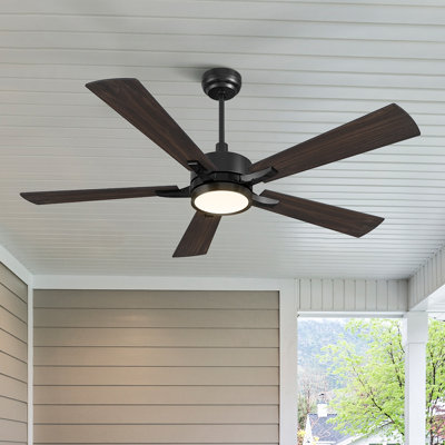 Lacurtis 56'' Ceiling Fan with LED Lights