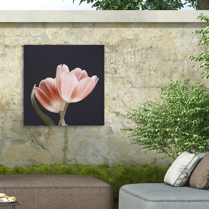 Doux rose gris sur fond en toile, H 14 po x l 14 po