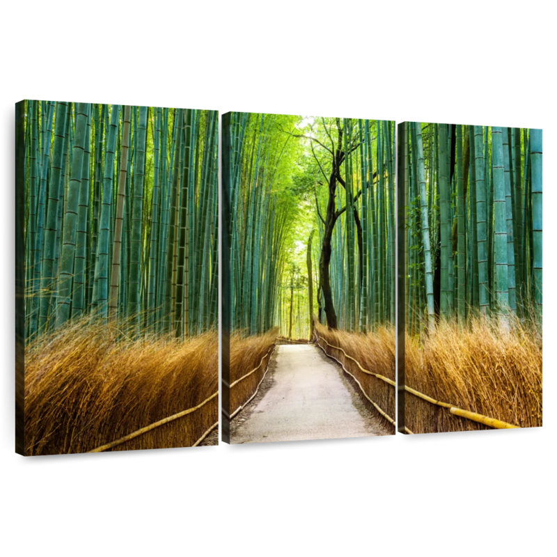 Sebbie Arashiyama, ancienne forêt de bambous, H 20 po x l 33 po