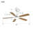 Lieschen 52'' Ceiling Fan with LED Lights-885601454-885601455