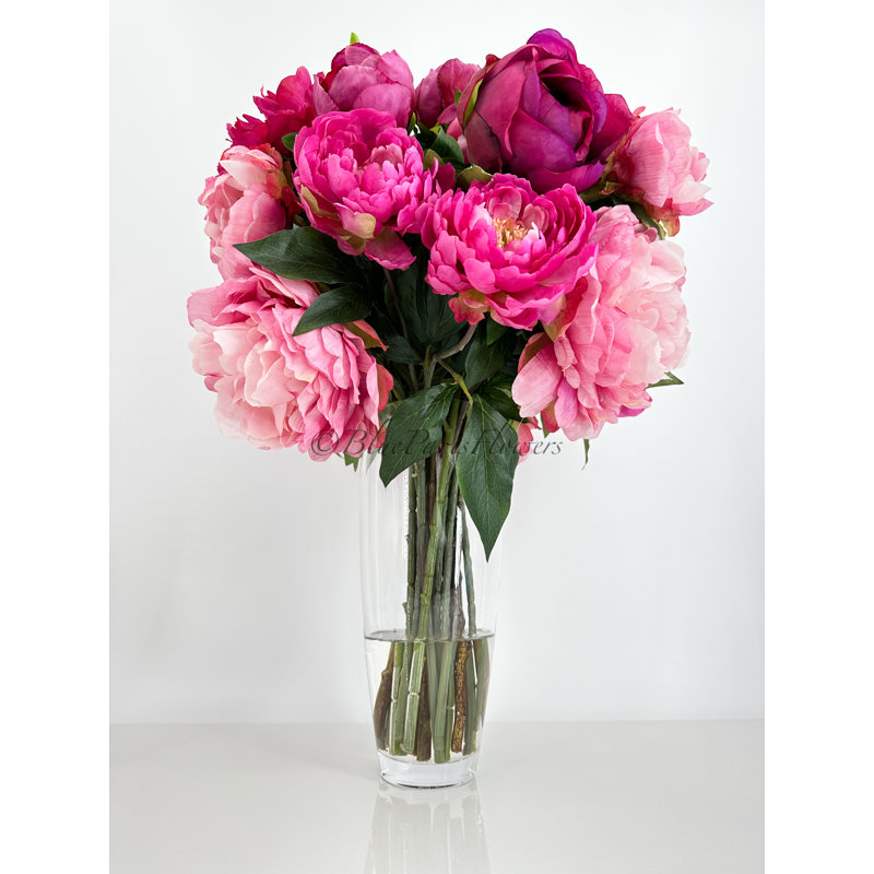 Grande et élégante pivoine rose / magenta