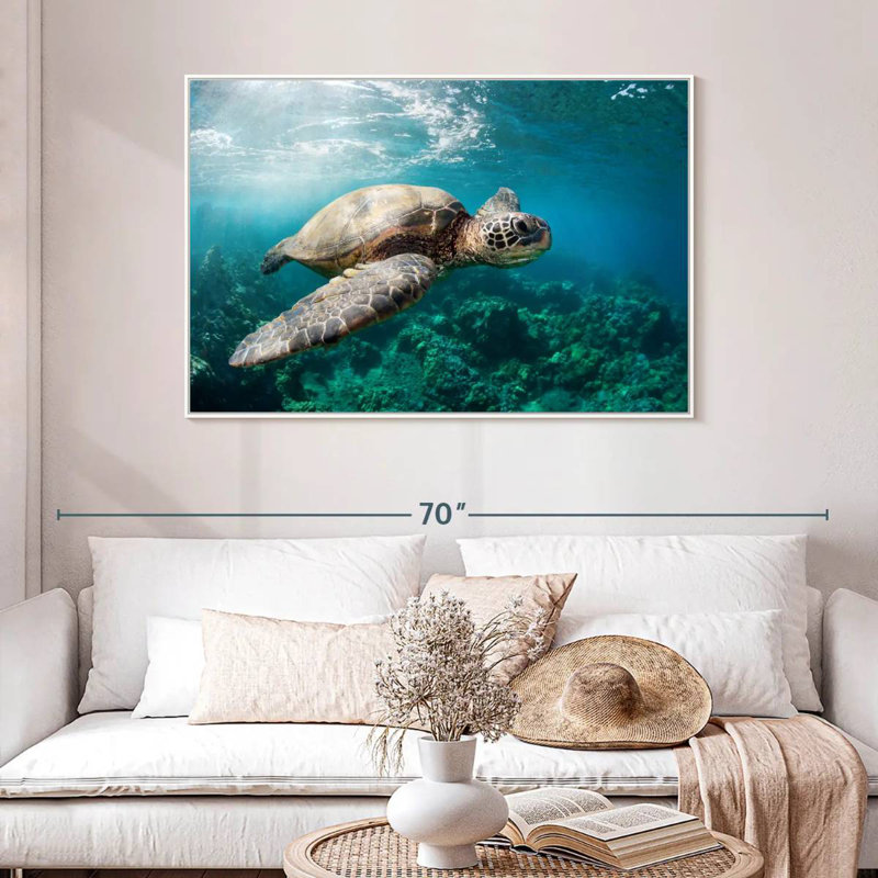 Tortue Maui, 46 po x 31 po, Cadre flottant blanc
