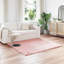 Solid Colour Standard Area Rug-4948866