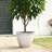 Avalynn Ivory Bell Round Recycled Plastic Pot Planter