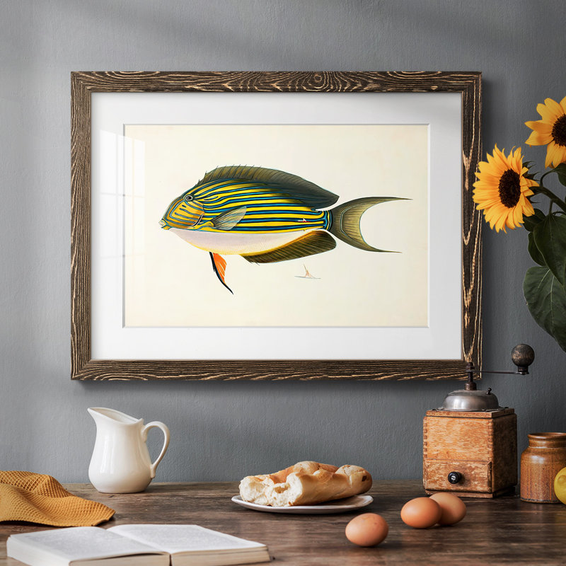Collection de poissons tropicaux I, Noyer, H 28 po x l 42 po