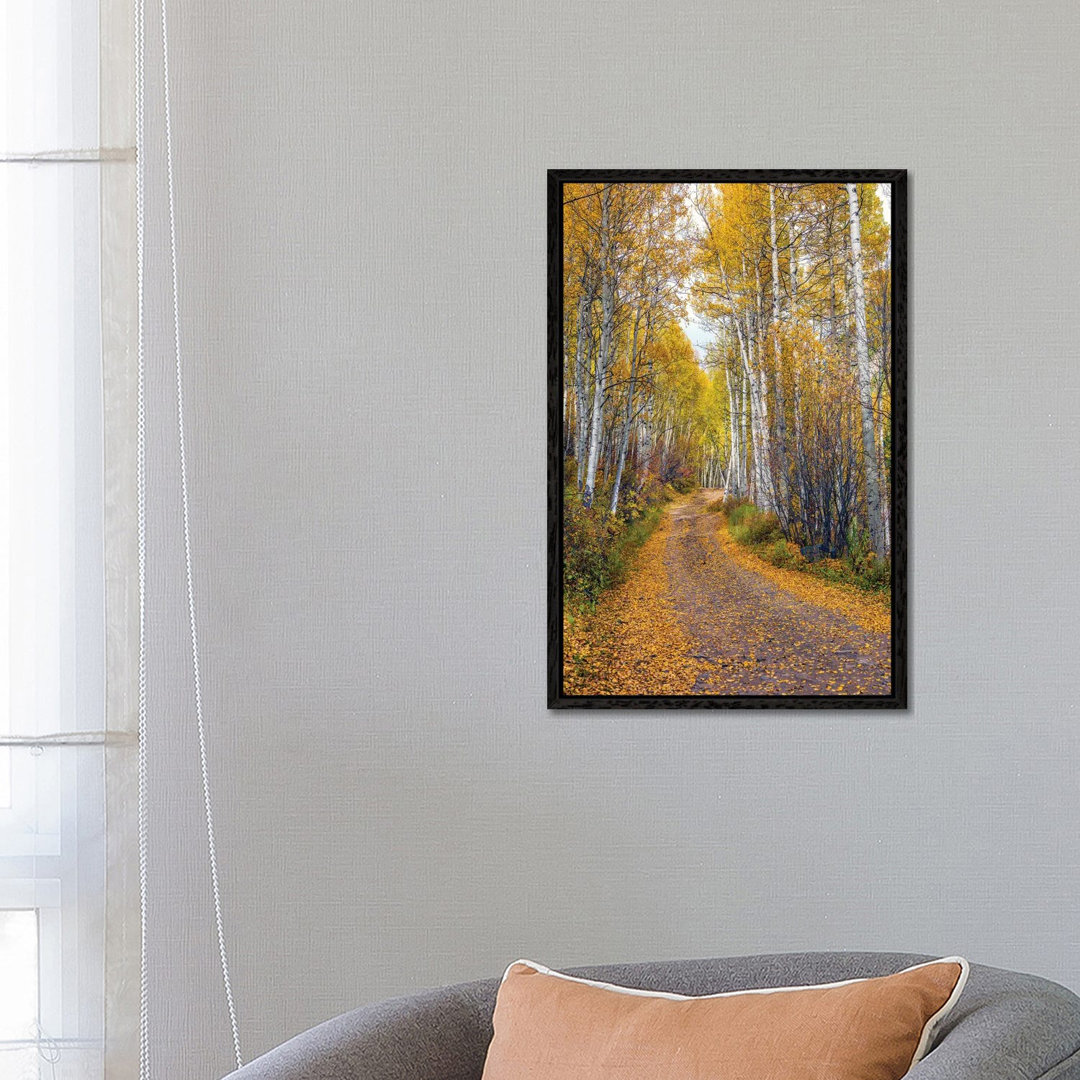 Herbst in Aspen Colorado von Susanne Kremer - Galerie-verpackte Leinwand Giclée auf Leinwand