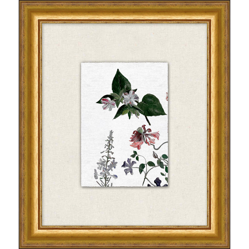 Studies of Flowers " Studies of Flowers 1 " Print
