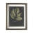 Foliage Dramatique III by Vision Studio Hand Embelished Textured Framed Art Print Matted under Glass
