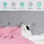 Sherpa Throw - Single Throw Blanket-67563059-67563060