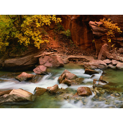 USA Utah Zion National Park Virgin River scenic in autumn Credit as: Dennis Flaherty / Jaynes Gallery Poster Print by Jaynes Gallery (24 x 18) -  Millwood Pines, B7CEF1FC8F97468E87A223A6DA53CD12