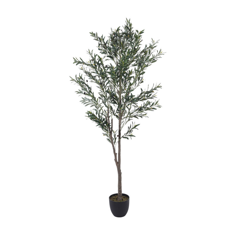 210cm Faux Olive Tree Tree in Freestanding, 210cm H x 70cm W