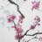 Floral Shower Curtain