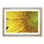 Petals of the Yellow Sunflower - Picture Frame Painting Print-56633644-56633645